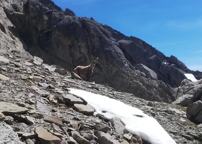 Appartamento Haus Dilitz-theiner- Brunnenperle *