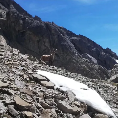 Daire Haus Dilitz-theiner- Brunnenperle *